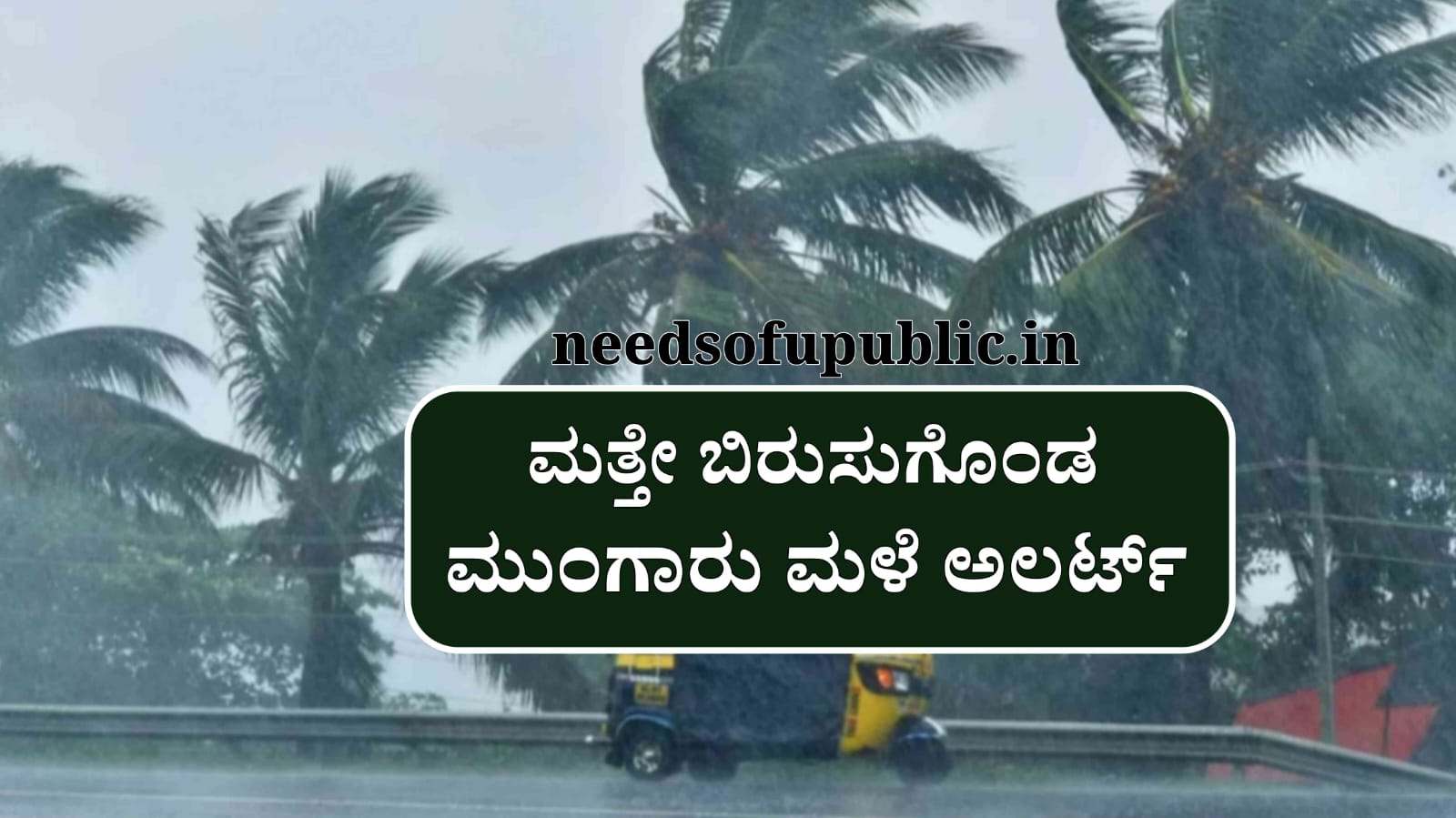 WhatsApp Image 2025 08 14 at 1.46.50 PM