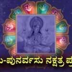 WhatsApp Image 2025 08 14 at 12.29.02 PM