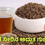 WhatsApp Image 2025 08 16 at 5.56.46 PM