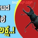 WhatsApp Image 2025 08 17 at 10.54.36 AM