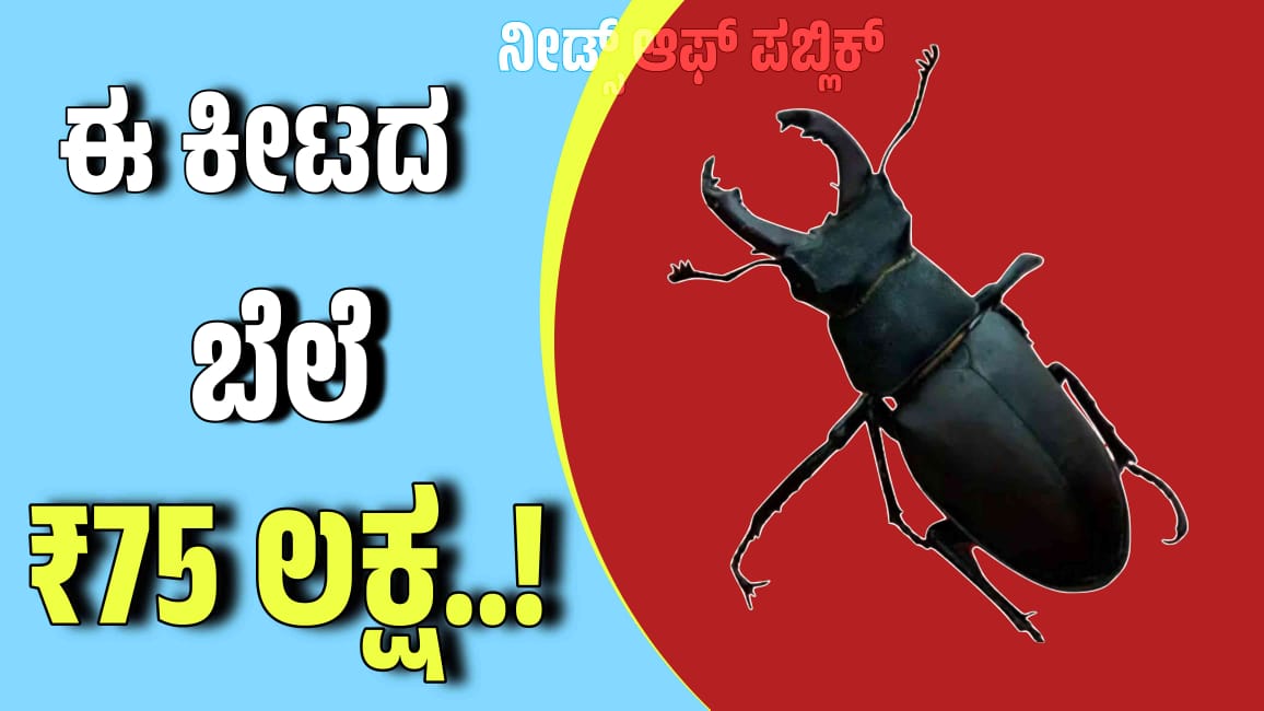 WhatsApp Image 2025 08 17 at 10.54.36 AM