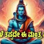 WhatsApp Image 2025 08 17 at 4.31.22 PM