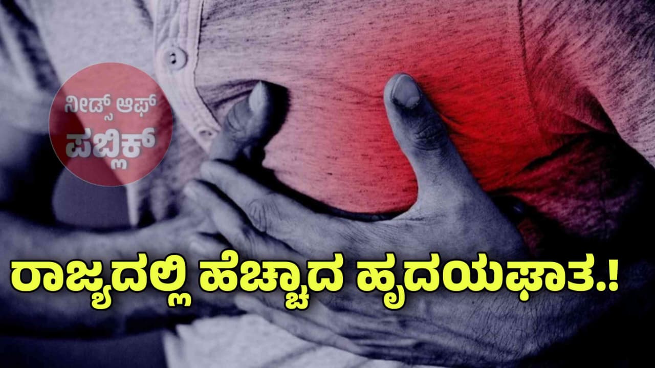 WhatsApp Image 2025 08 17 at 4.56.30 PM