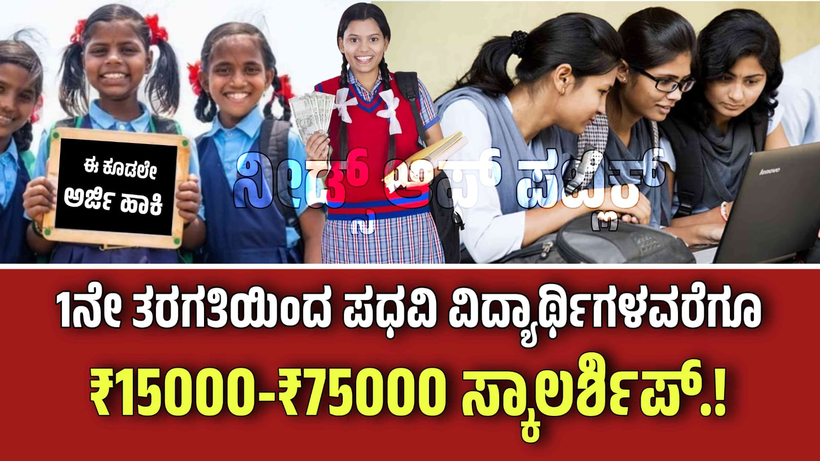 WhatsApp Image 2025 08 19 at 11.58.43 AM