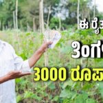 WhatsApp Image 2025 08 19 at 3.05.58 PM