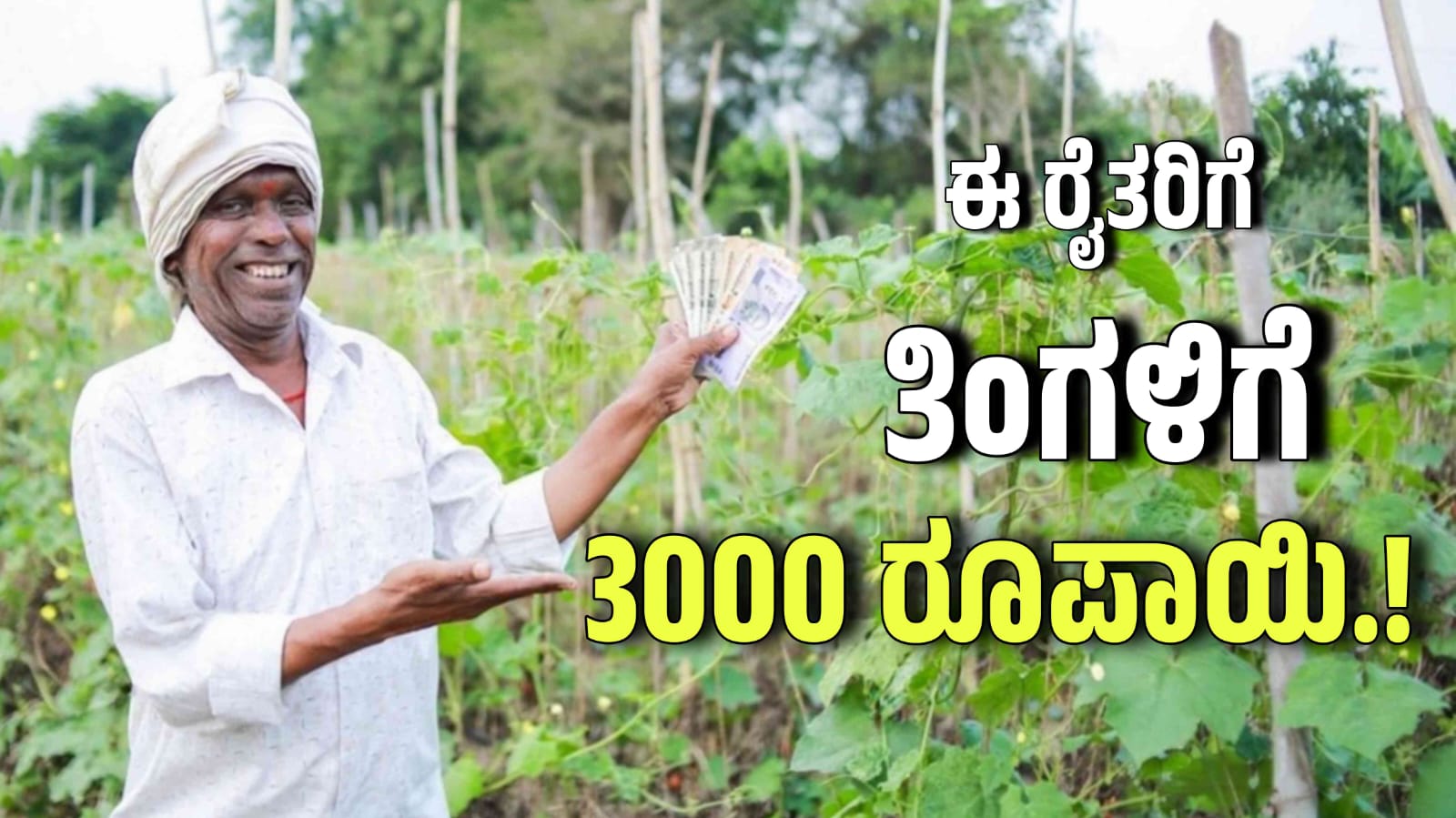 WhatsApp Image 2025 08 19 at 3.05.58 PM