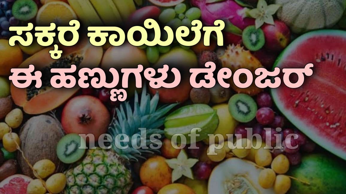 WhatsApp Image 2025 08 20 at 19.08.15 b3b2e100