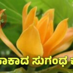 WhatsApp Image 2025 08 20 at 2.53.58 PM