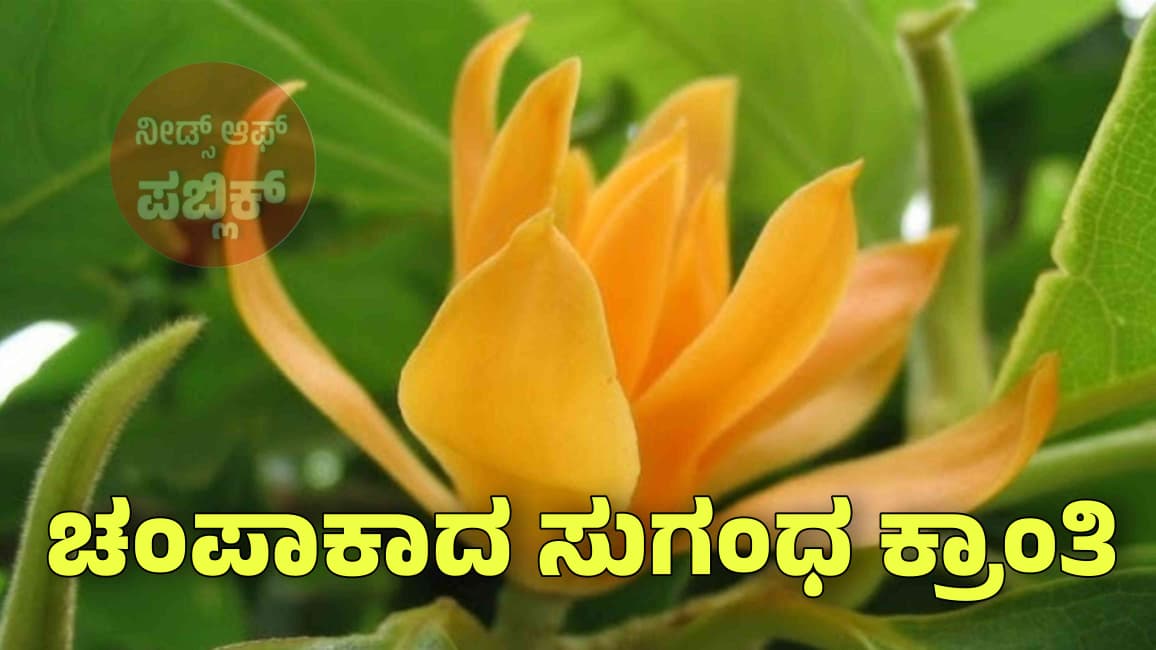 WhatsApp Image 2025 08 20 at 2.53.58 PM