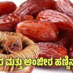 WhatsApp Image 2025 08 22 at 11.34.39 AM
