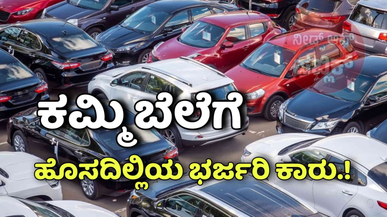WhatsApp Image 2025 08 24 at 5.56.43 PM