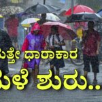 WhatsApp Image 2025 08 24 at 6.31.24 PM