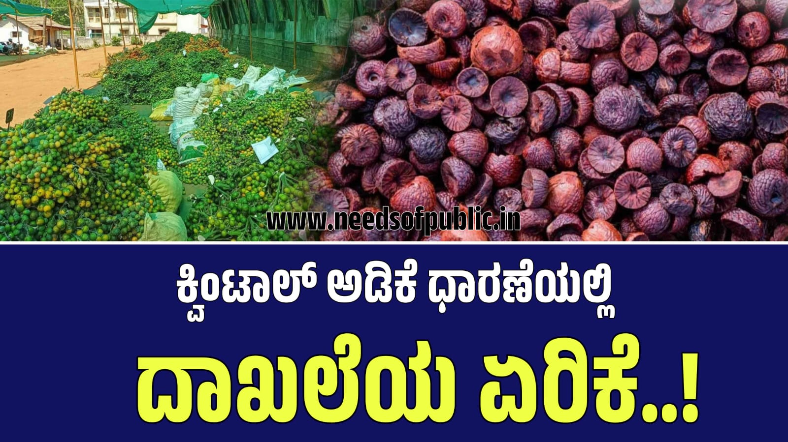 WhatsApp Image 2025 08 26 at 1.31.28 PM