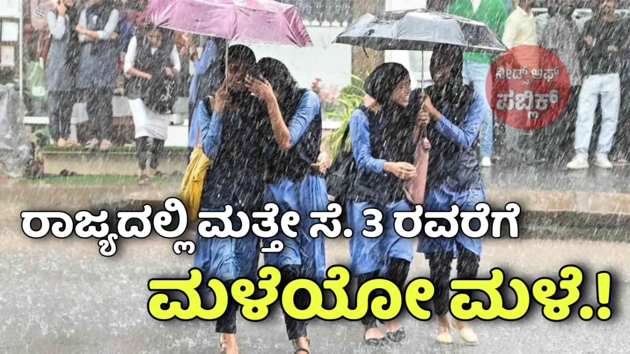 WhatsApp Image 2025 08 30 at 3.31.46 PM