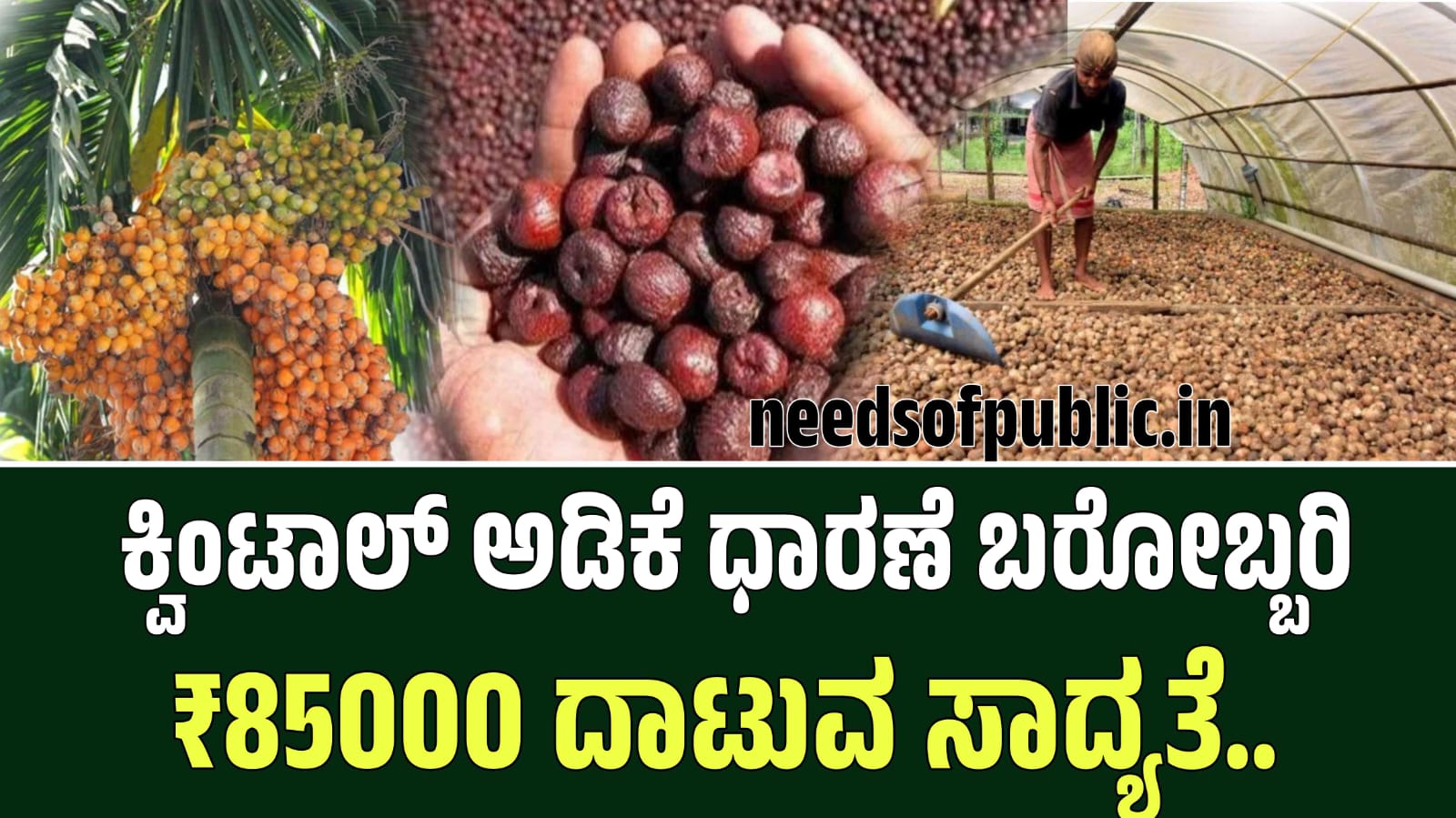 WhatsApp Image 2025 08 30 at 6.16.05 PM