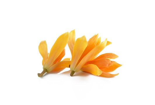 image 108