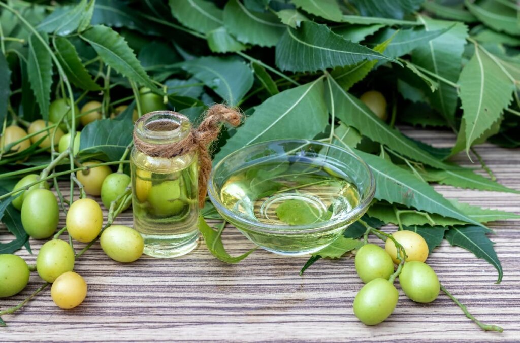 neem oil leaves ss