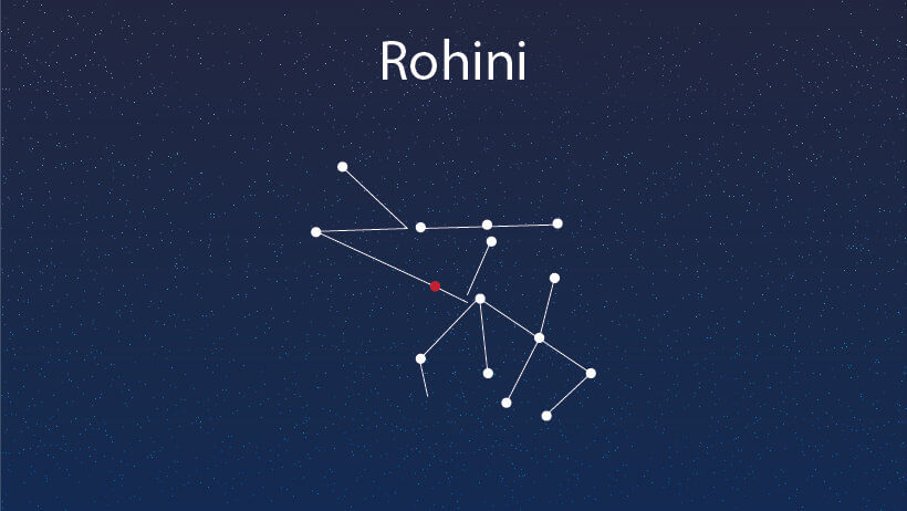 rohini article