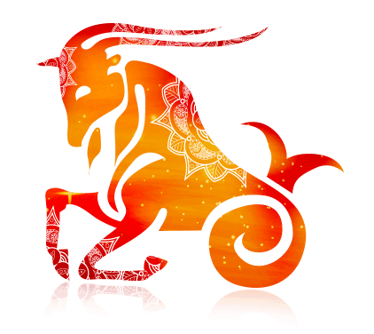 sign capricorn 1