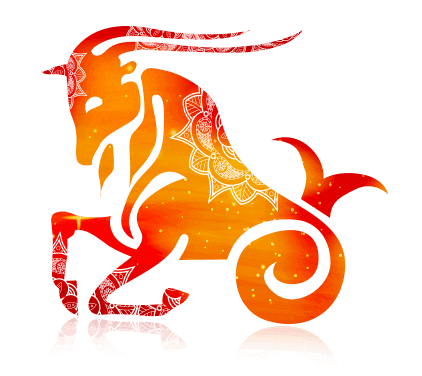sign capricorn