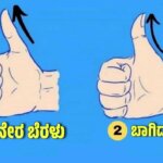 WhatsApp Image 2025 09 01 at 6.29.45 PM