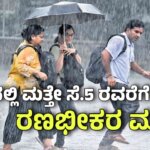 WhatsApp Image 2025 09 02 at 3.05.30 PM