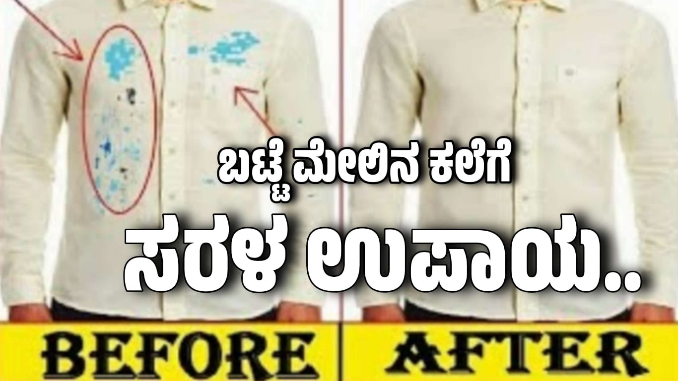 WhatsApp Image 2025 09 02 at 5.16.37 PM