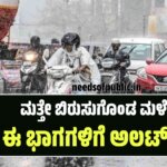 WhatsApp Image 2025 09 02 at 5.41.09 PM1