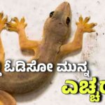 WhatsApp Image 2025 09 12 at 11.24.08 AM