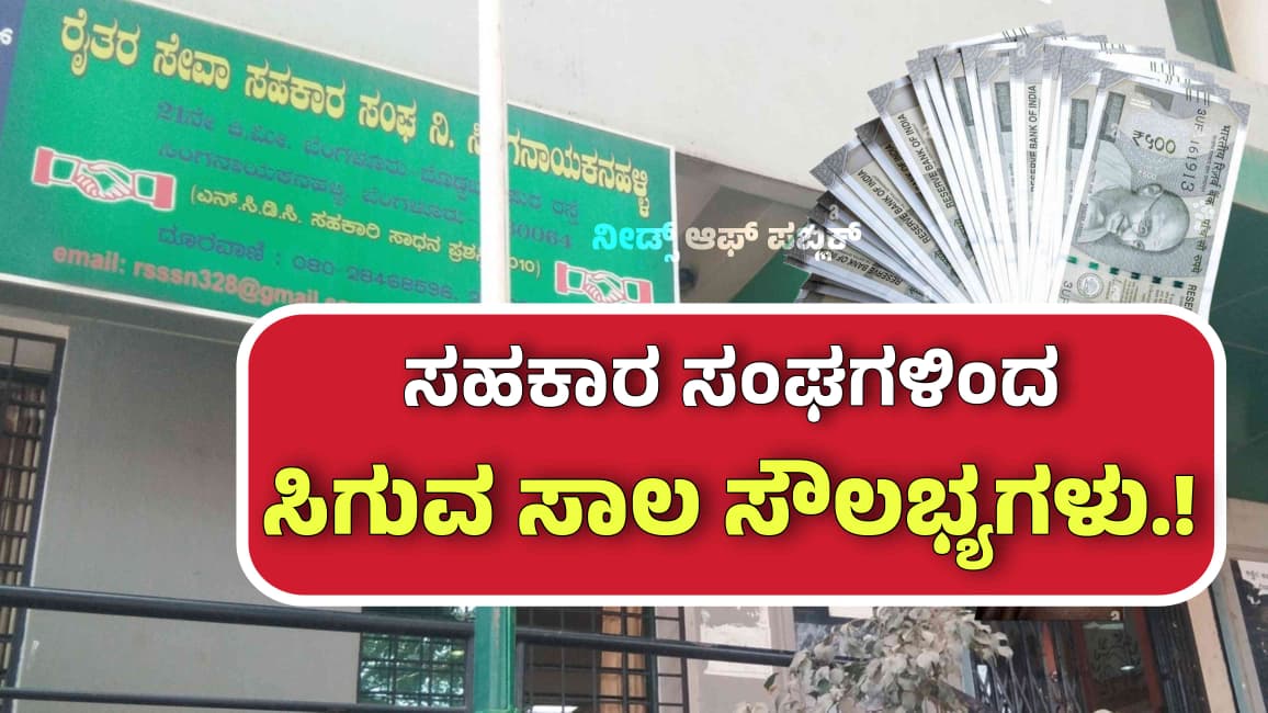 WhatsApp Image 2025 09 26 at 8.20.14 AM