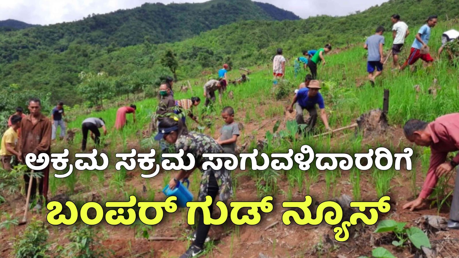 WhatsApp Image 2025 10 12 at 4.58.25 PM