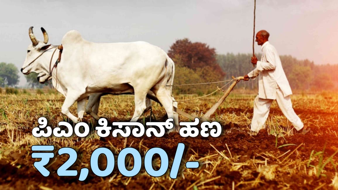 PM KISANS