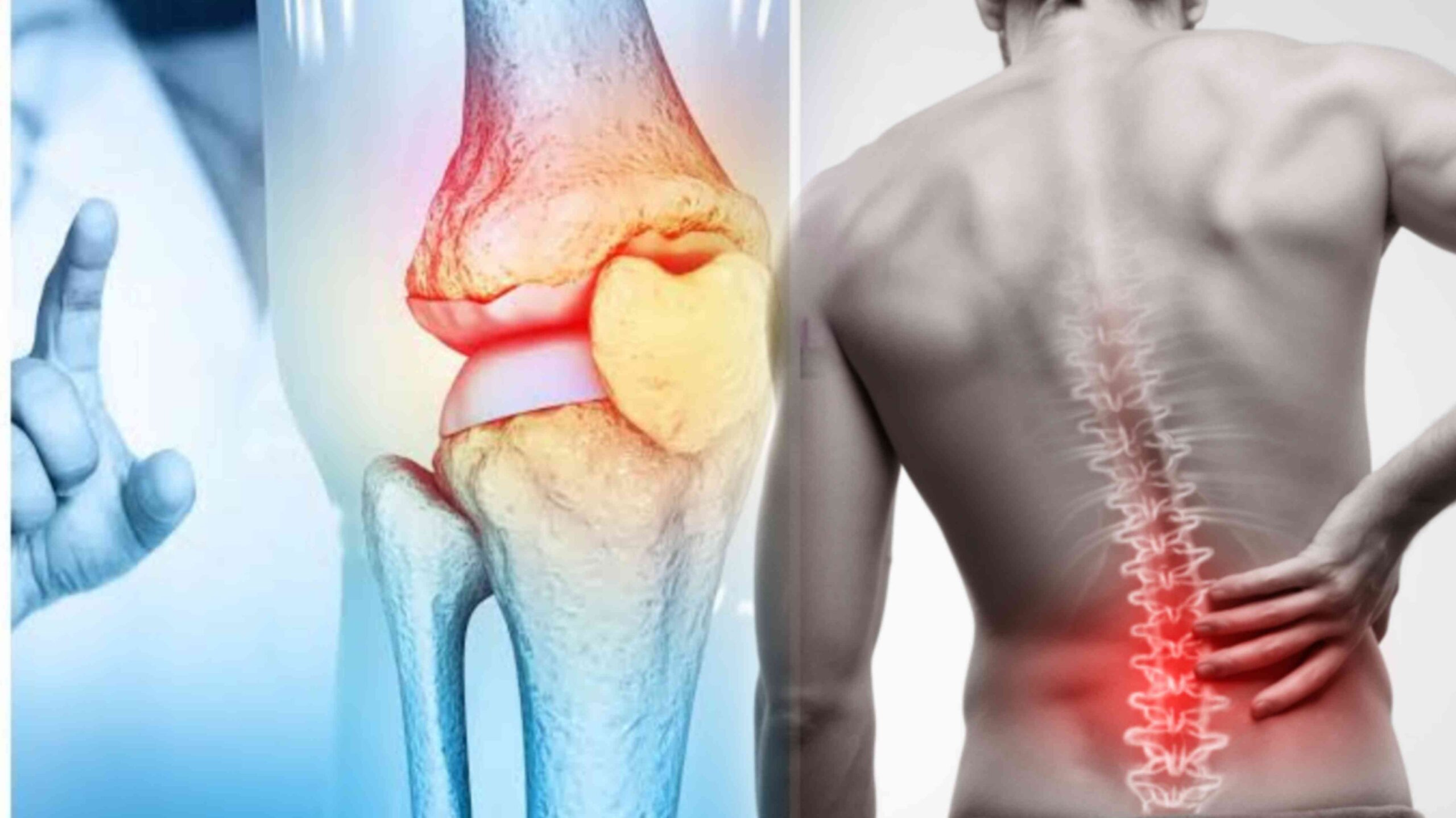 Picsart 25 11 06 23 16 02 907 scaled