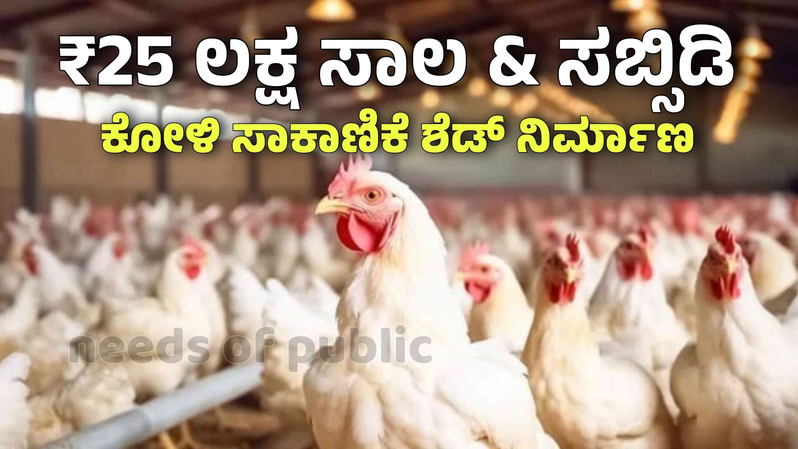 Picsart 25 11 09 21 54 42 034 scaled