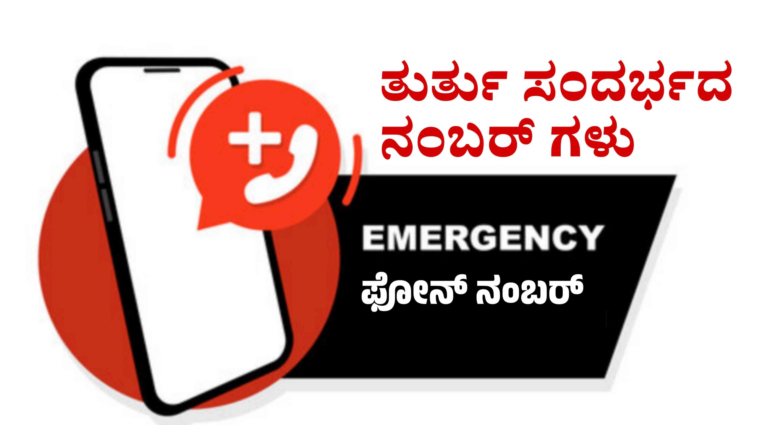 Picsart 25 11 11 21 46 21 240 scaled