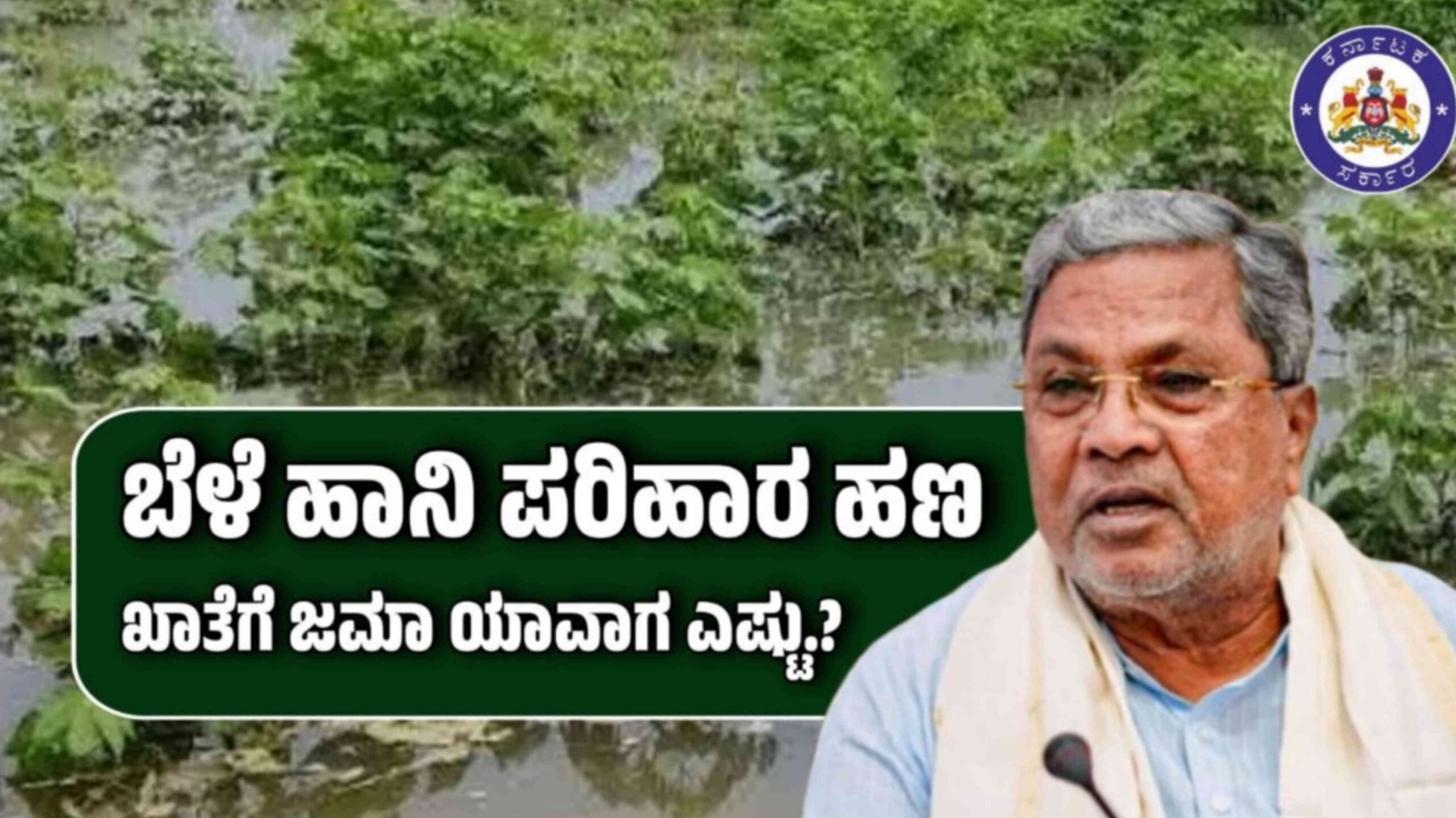 Picsart 25 11 11 22 04 59 713 scaled