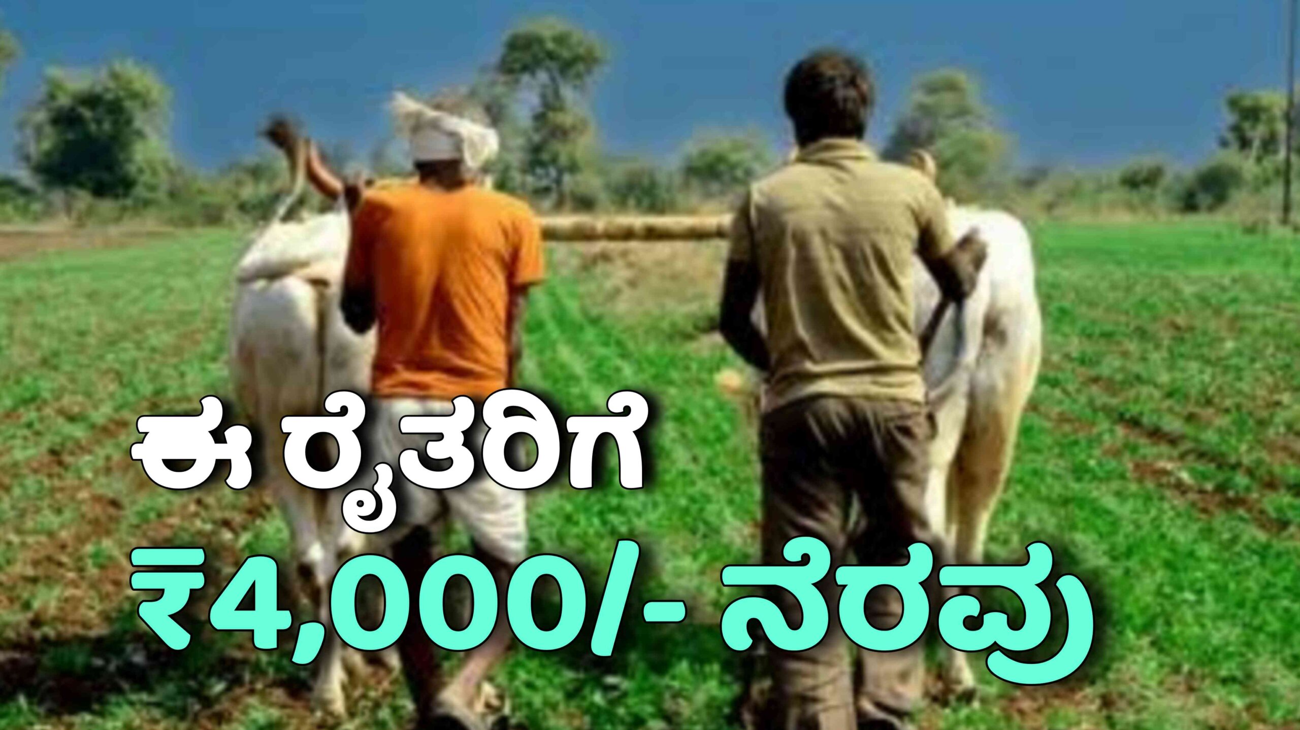 Picsart 25 11 13 22 37 53 757 scaled