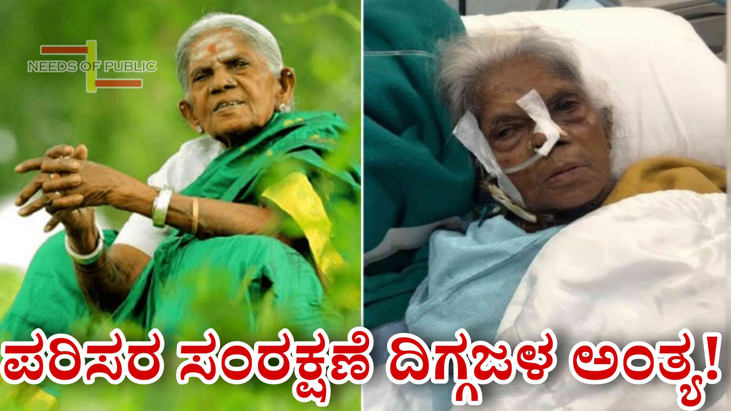 Picsart 25 11 14 13 19 49 129 scaled