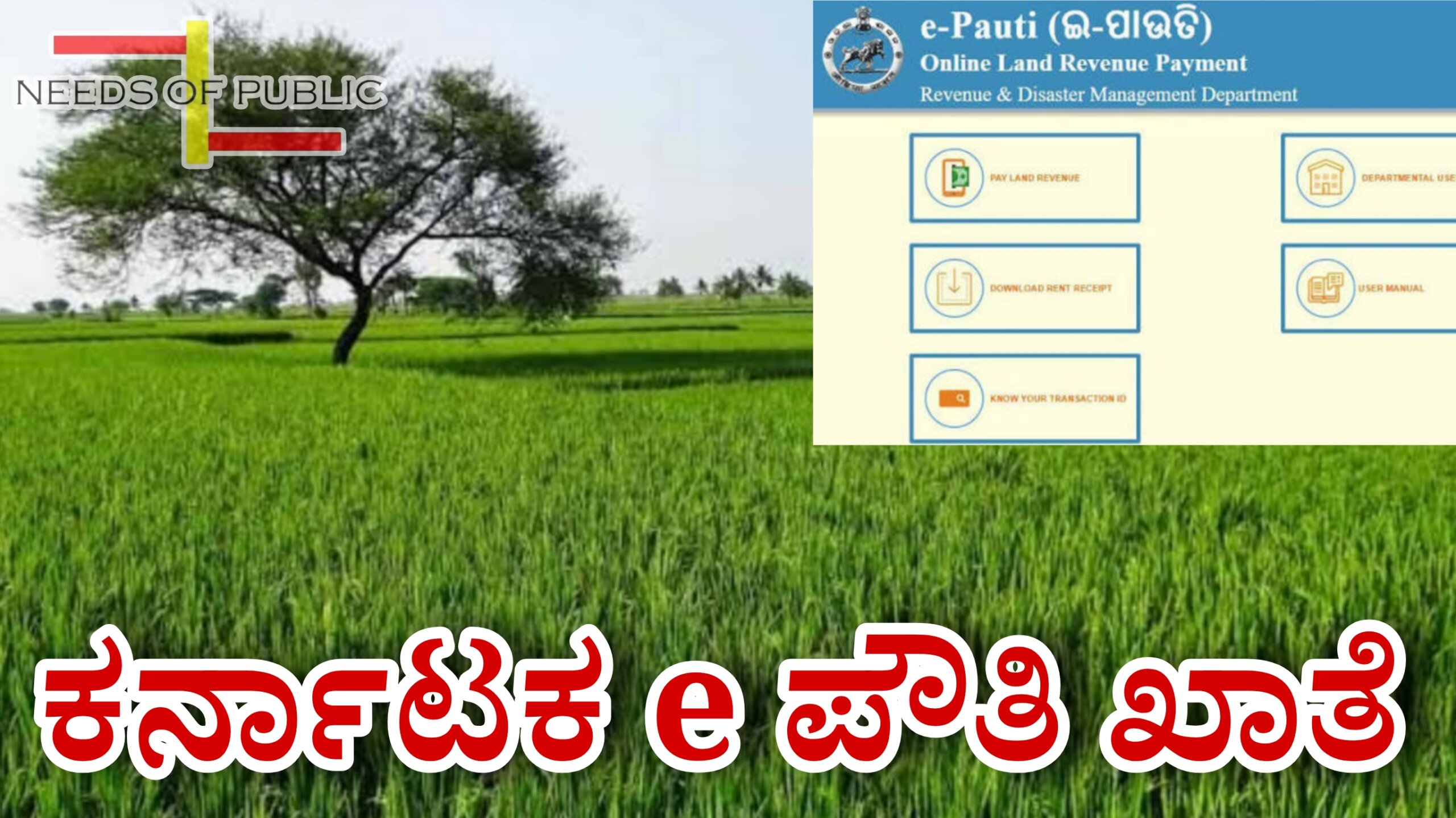 Picsart 25 11 15 16 46 12 901 scaled