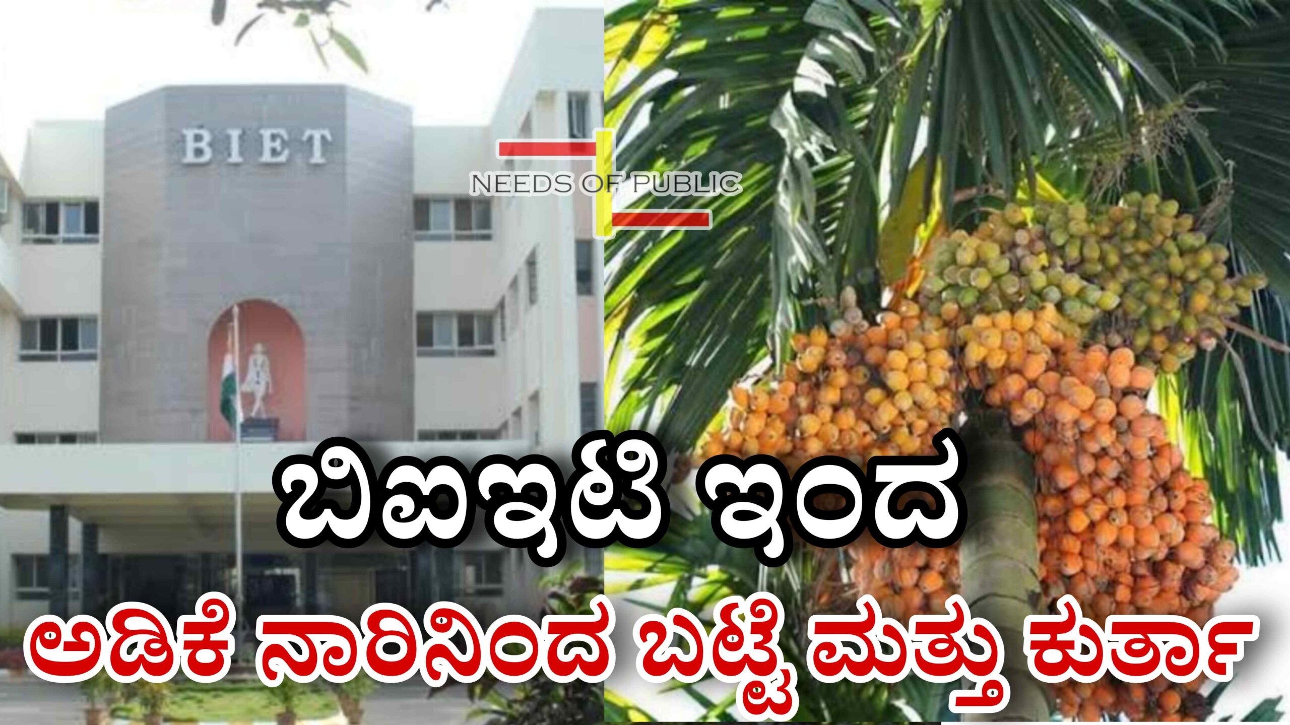 Picsart 25 11 16 12 08 17 134 scaled