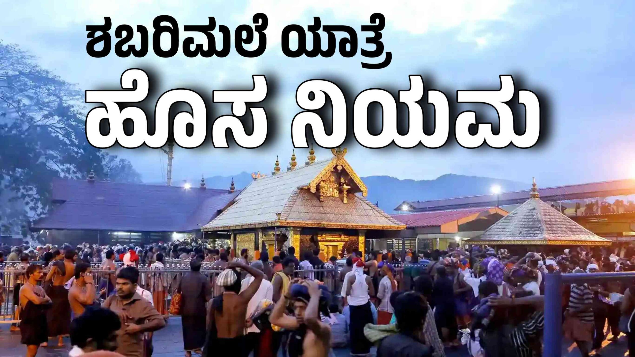 Picsart 25 11 16 22 19 06 551 scaled