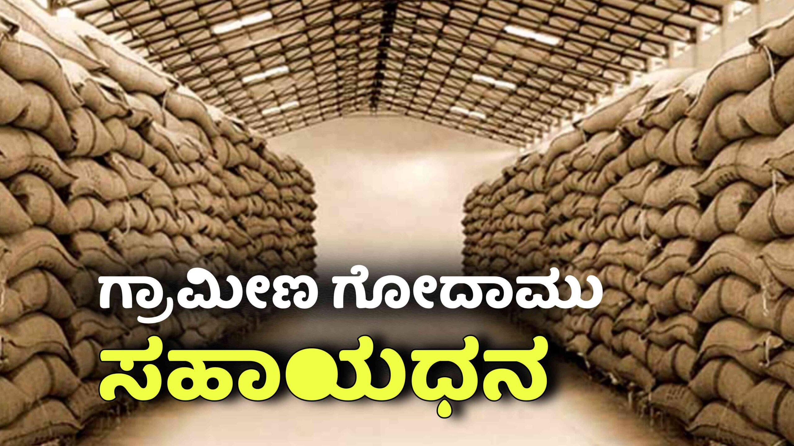 Picsart 25 11 17 23 08 19 360 scaled