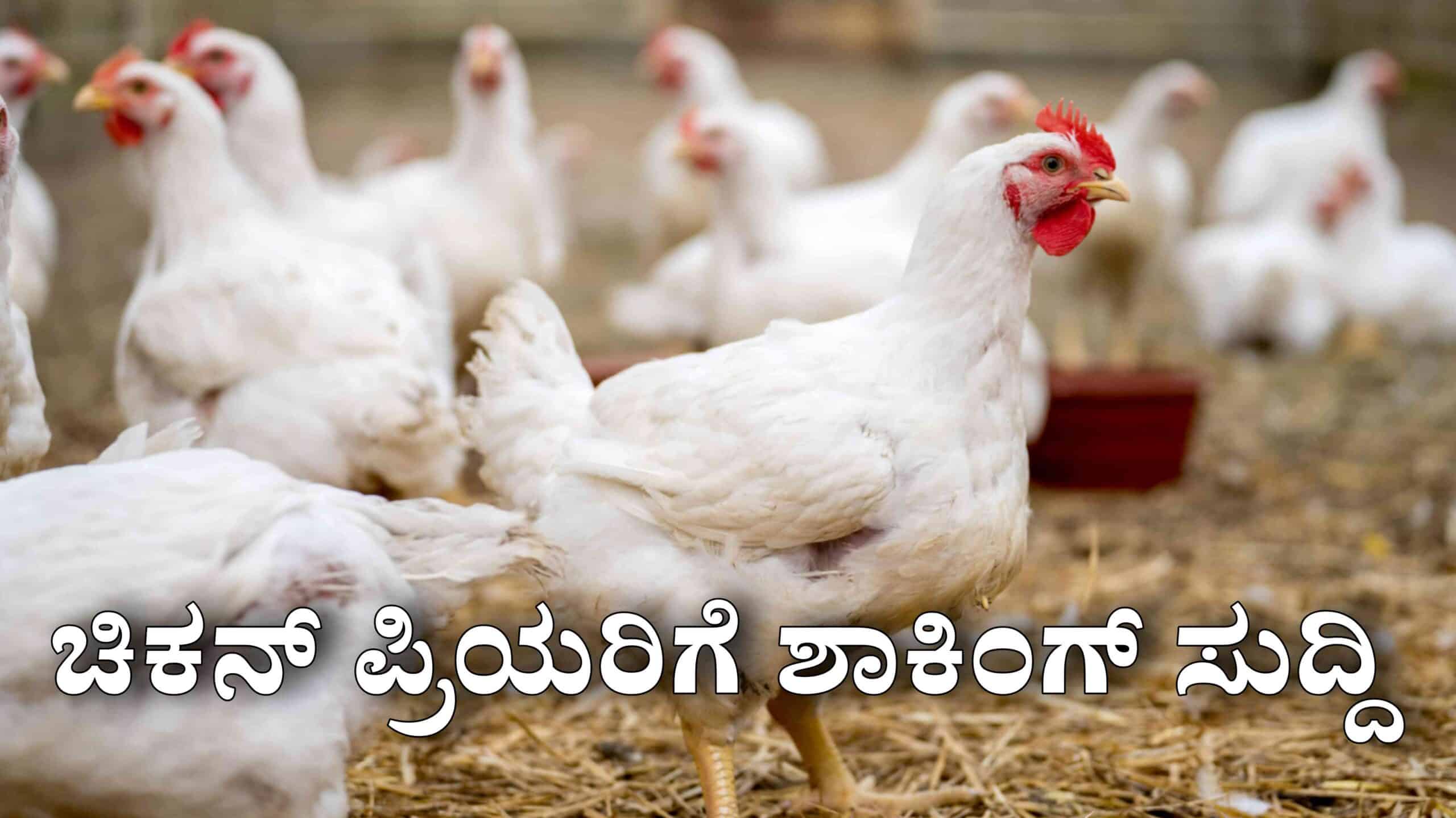 Picsart 25 11 25 23 00 51 869 scaled