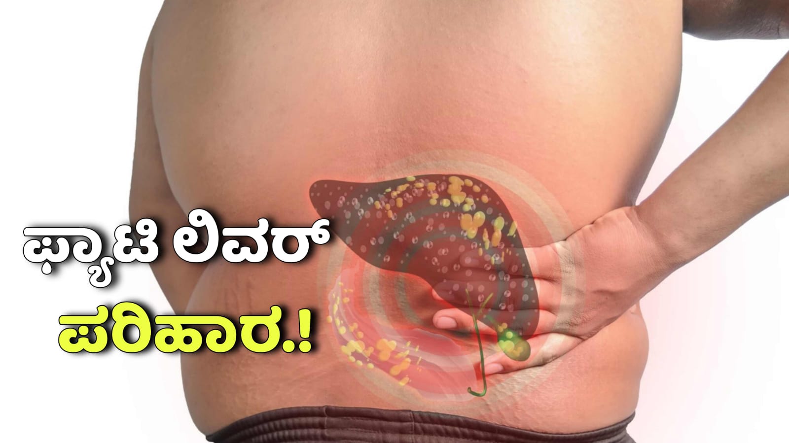 WhatsApp Image 2025 11 10 at 12.25.51 PM