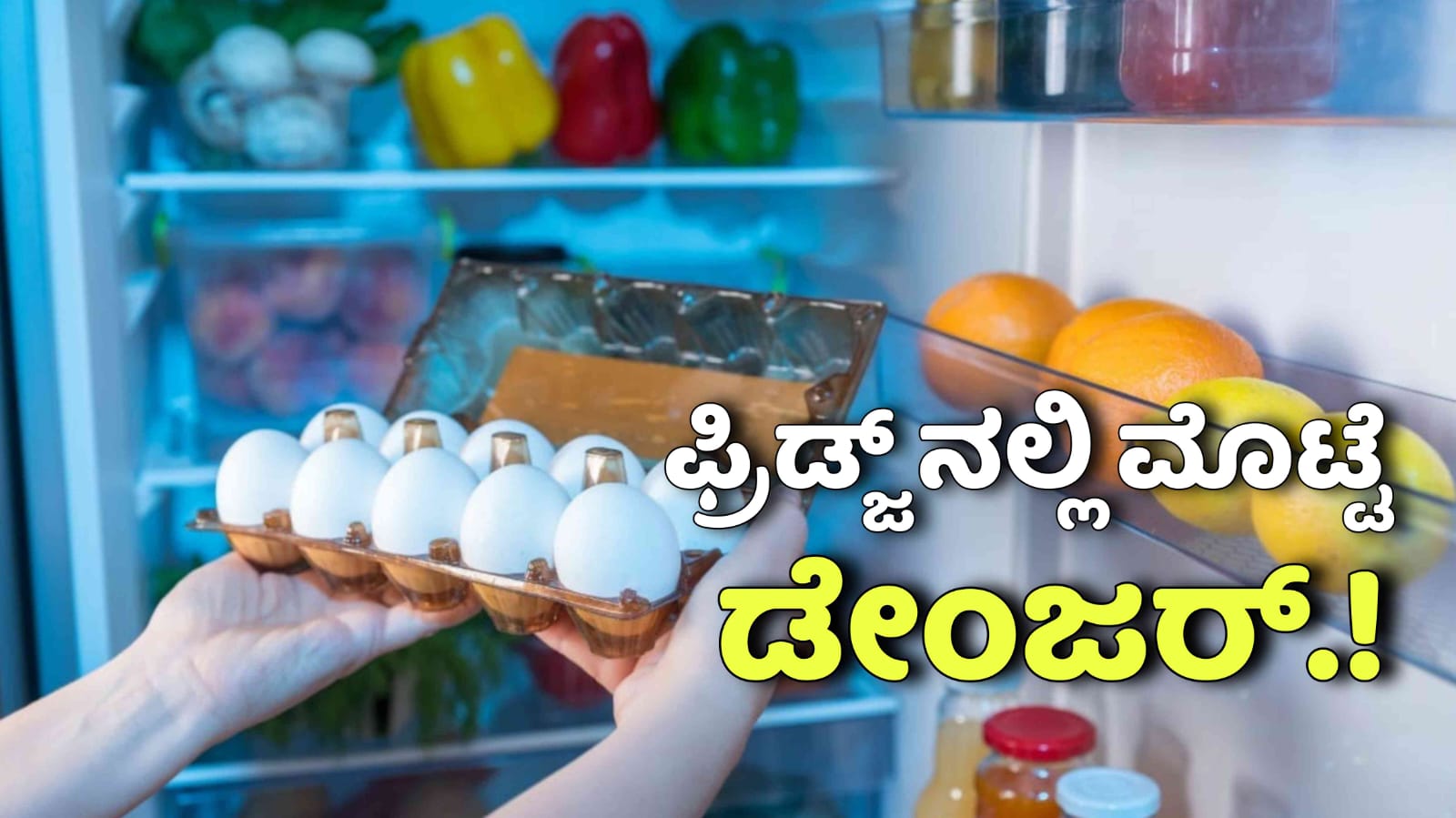 WhatsApp Image 2025 11 10 at 12.38.02 PM