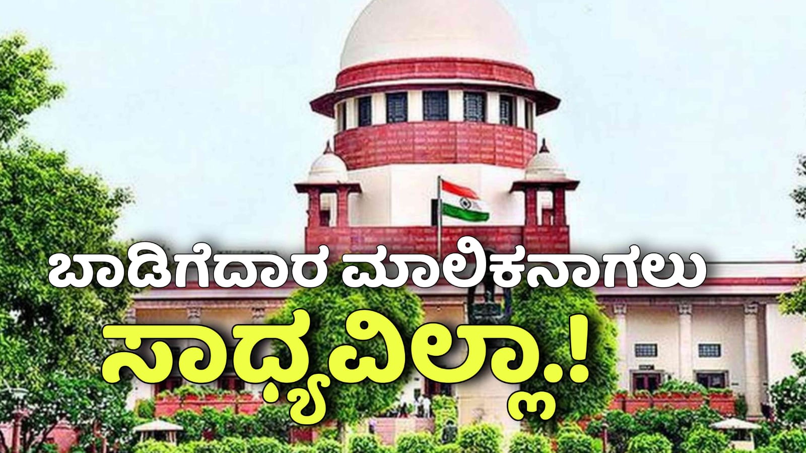 WhatsApp Image 2025 11 10 at 4.10.56 PM