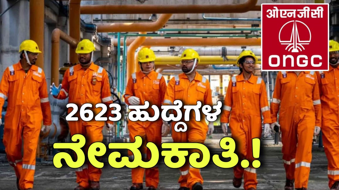 WhatsApp Image 2025 11 11 at 3.26.44 PM