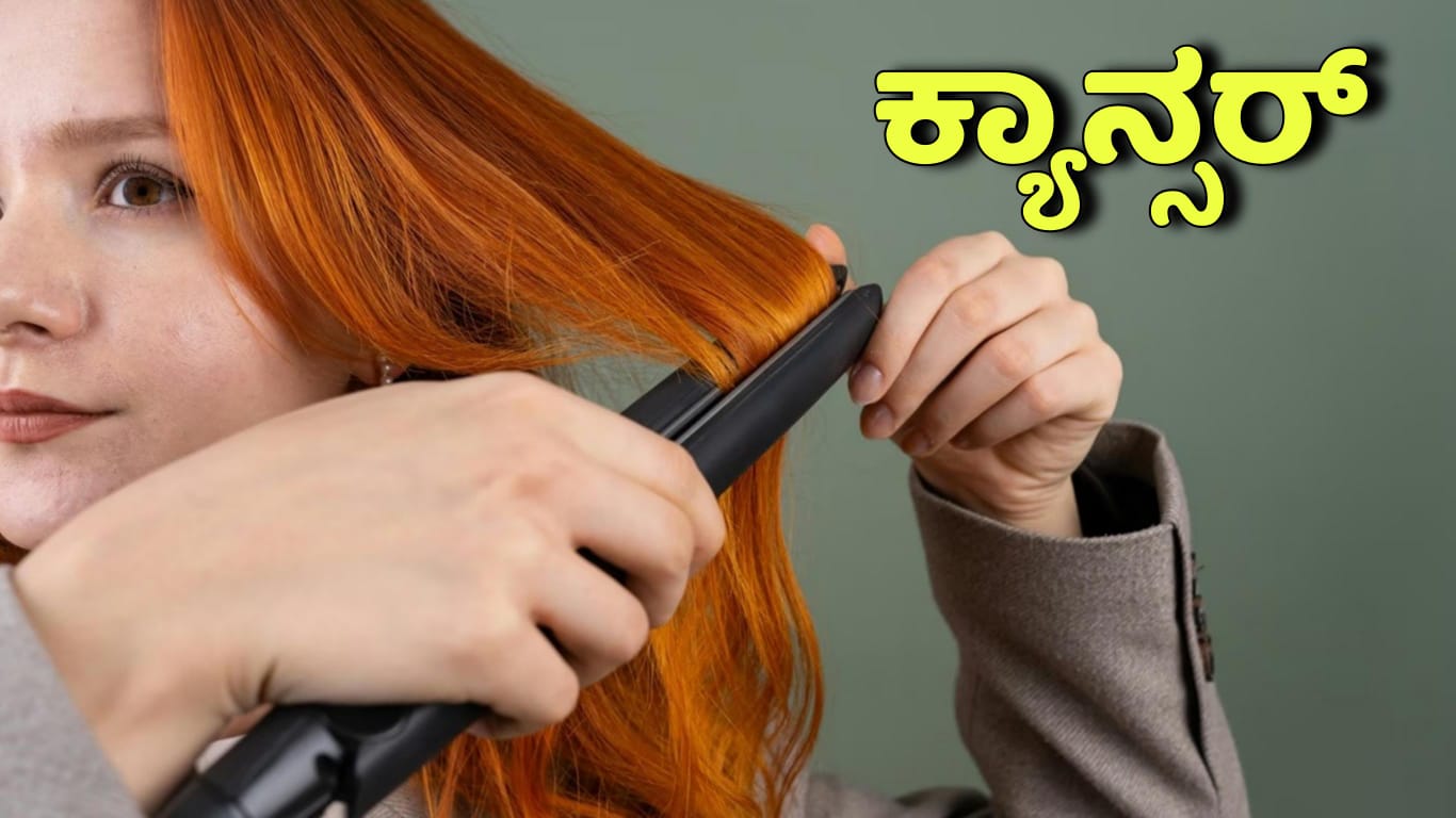 WhatsApp Image 2025 11 11 at 6.30.58 PM