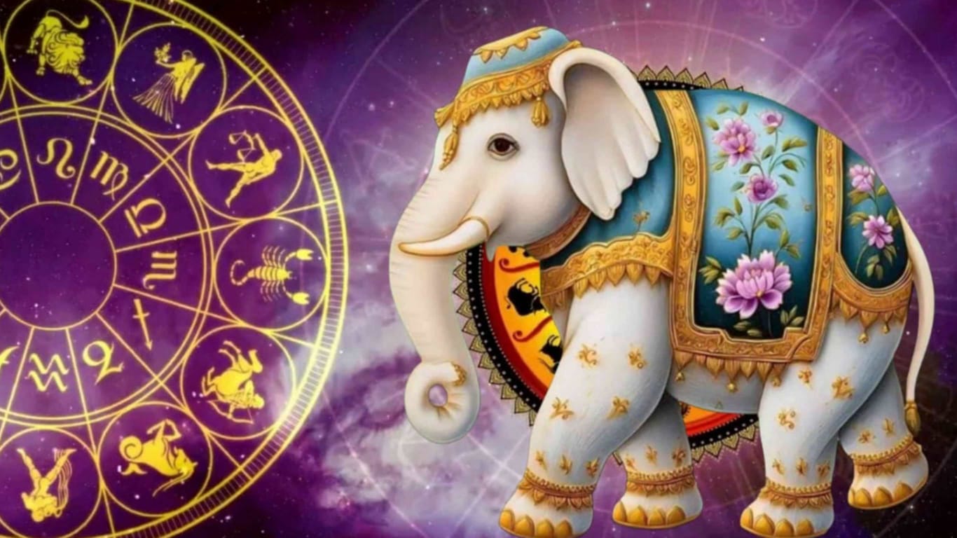 WhatsApp Image 2025 11 11 at 6.46.46 PM 1