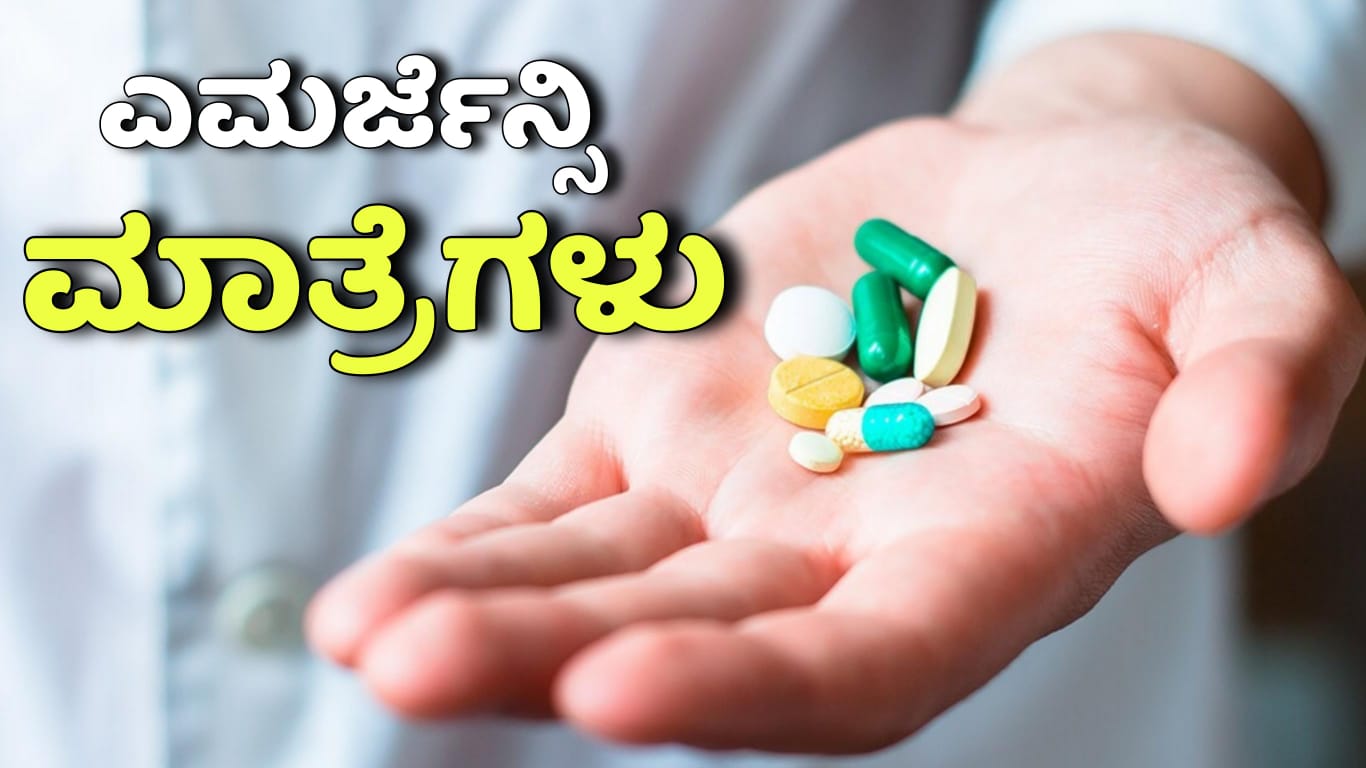 WhatsApp Image 2025 11 11 at 6.52.17 PM